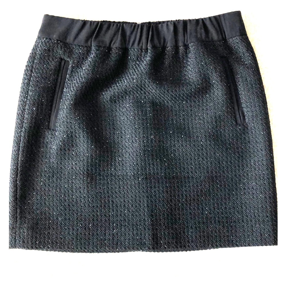 Black Loft Dress Skirt